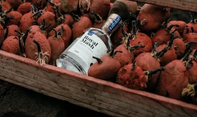 Royal Mash Vodka