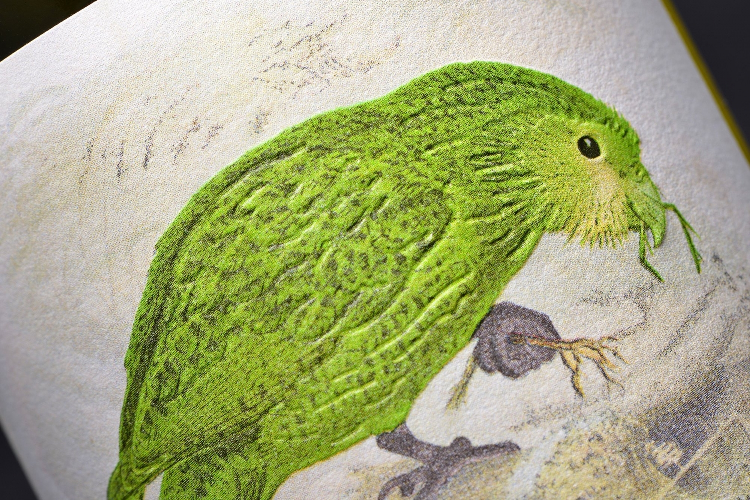 Kakapo 3
